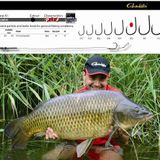 Gamakatsu A1G-CARP Specialist Sazan N2 1-10 Olta İğnesi