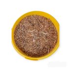 Gammarus Kurutulmuş Karides ve Balık Kaplumbağa Yemi 100 G