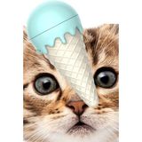 Gampus Dondurma Şeklinde Catnipli Yenilebilir Kedi Nanesi Otu Oyun Topu Oyuncağı Oyuncak Kedi Yalama Topu