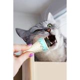 Gampus Dondurma Şeklinde Kedi Nanesi 180 Derece Dönen Nane Topu