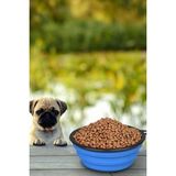 Gampus Taşınabilir Katlanabilir Kedi Köpek Mama Su Kabı, Evcil Hayvan İçin Pratik Kap Ve Tas
