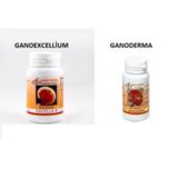 GANO 2Lİ SET GANODERMA EXCELLİUM