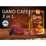 Gano Çekirdek Kahve 3 In 1 Arada Gano Cafe Metobalizma Hızlandırma - 1 Paket