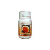 Gano Excel Excellium Ganoderma 90 Kapsül