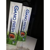 Gano Excel Gano Fresh Diş Macunu 2li SLS İçermez Özellikli Taze Nane Aromalı
