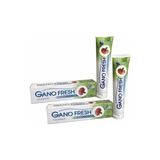 Gano Excel Gano Fresh Reishi Mantarlı Koruyucu Diş Macunu 2x150 Gr Ferahlatıcı Nane Aromalı