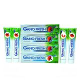 Gano Excel Gano Soap Fresh Florürsüz 4x150 ml Diş Macunu