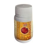 Gano Excel Ganoderma Kırmızı Reishi Mantarı 90 Kapsül Bağışıklık Destekli Doğal Takviye