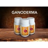 Gano Excel Ganoderma Takviye Edici Gıda 350 mg 90 Kapsül İçerik Tipi Kapsül Türkiye Menşeli