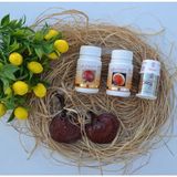 Gano Excel Ganoexcel 3 Lü Set Cordy + Excelium 90 + Ganoderma