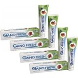 Gano Excel Ganoexcel 4 Kutu Fresh Diş Macunu