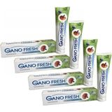 Gano Fresh Flörsüz 4x150 gr Diş Macunu