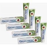 Gano Fresh Gano Soap Excel Florsuz Fresh Diş Macunu 4 Adet - Beyaz