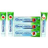 Gano Fresh Reishi Diş Macunu 150 G x 3