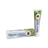 Gano Fresh Reishi Diş Macunu 150 G