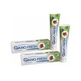 Gano Fresh Reishi Diş Macunu 2 x 150 G