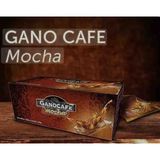 Gano Ganocafe Mocha Bitkisel Krema, Kakao ve Ganoderma Mantarlı Çözünebilir Kahve - 1 Paket