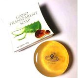 Gano Soap Şeffaf Sabun 100 gr – Hafif Bitkisel Kokulu, Ganoderma, Aloe Vera ve Papaya Özlü Cilt Bakım Sabunu