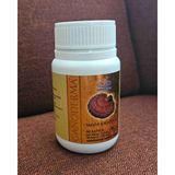 Ganoderma - 1