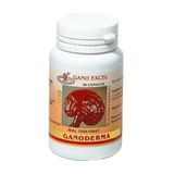Ganoderma 90 Kapsül Reishi Mantarı Takviye Edici Gıda takviyeedicigıda