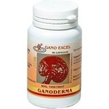 Ganoderma Reishi Mantarı Takviye Edici Gıda 90 Kapsül Kalite Doğal İçerik