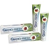 GanoExcel Fresh Reishi Mantarlı Florürsüz Diş Macunu 2x150 G