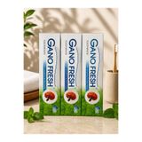 GanoExcel Gano Excel Gano Fresh Ganoderma Lucidum Özlü Taze Naneli Diş Macunu 3 x 150 g