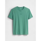 Gap Erkek Açık Yeşil Everyday Soft Gap Mini Logo T-Shirt