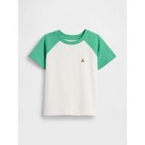 Gap Erkek Bebek Açık Yeşil Mix & Match Raglan T-Shirt - 2 Yaş