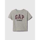 Gap Erkek Bebek Gri Gap Logo T-Shirt - 12 - 18 Ay