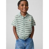 Gap Erkek Bebek Yeşil Polo Yaka Triko T-Shirt - 4 Yaş