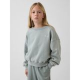 Gap Kız Çocuk Yeşil Vintagesoft Wedge Crewneck Sweatshirt - 4 - 5 Yaş