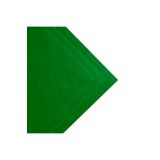 garaccu Çimen Yeşili Ince Keçe Kumaş 1 Mm Kalınlığında 50x100 Cm Ölçülerinde Ince Rulo Keçe