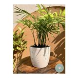 Garden Art El Yapımı Puantiye Detaylı Seramik Saksı 13 cm