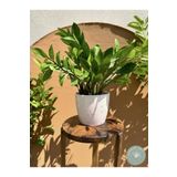 Garden Art El Yapımı Puantiye Detaylı Seramik Saksı 17 cm