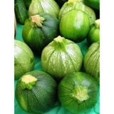 Garden Doğal Topak Kara Kabak Tohumu Karatopak 20 Ad. Tohum