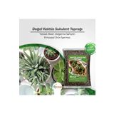 garden Moda Kaktüs Sukulent Toprağı 10 Litre Teraryum İçin Uygun Toprak Özel Karışım Bitki Toprağı