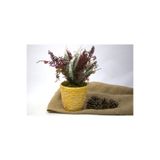 Garden Moda Yapay Çiçek, 7 Dallı Yeşillik Demeti, Bordo, Sarı Beton Saksı, 30 cm Yükseklik, Masa Ofis Ev Dekoru