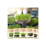 GARDEN NARTER 5 Paket Mikro Yeşillik Için Mikro Filiz Organik Marul Lahana Yonca Bezelye Kırmızı Lahana Tohumu