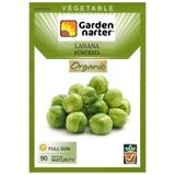 GARDEN NARTER Brüksel Lahana Tohumu Doğal Organik Tohum Pakette 100 Tohum