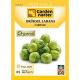 Garden Narter Brüksel Lahana Tohumu Doğal Organik Tohum Pakette 30 Tohum - 40 Adet