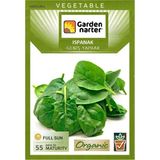 Garden Narter Geniş Yaprak Ispanak Tohumu Doğal Organik Tohum Pakette 10 gr Tohum - 13 Adet