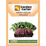 Garden Narter Mikro Yeşillik İçin Microgreen Organik Kırmızı Lahana Tohumu Mikro Filiz Tohumu 7 gr 1750 Tohum - 1 Adet