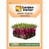 Garden Narter Mikro Yeşillik Için Microgreen Organik Kırmızı Pancar Tohumu Mikro Filiz Tohumu 10 gr 1000 Tohum - 1 Paket