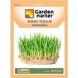 Garden Narter Mikro Yeşillikler İçin Microgreen Organik Buğday Tohumu Mikro Filiz Tohumu 50 gr 1250 Tohum - 1 Adet