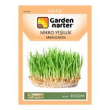 GARDEN NARTER Mikro Yeşillikler Için Microgreen Organik Buğday Tohumu Mikro Filiz Tohumu 50 gr 1250 Tohum