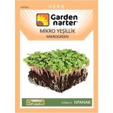 Garden Narter Mikro Yeşillikler İçin Microgreen Organik Ispanak Tohumu Mikro Filiz Tohumu 17 gr 1700 Tohum - 1 Adet