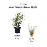 Gardenbox Arap Yasemin Çiçeği + Gaura Çiçeği 2'li Set Dış Mekan Bitkisi