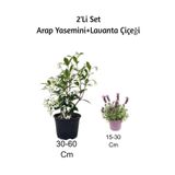 Gardenbox Arap Yasemini + Lavanta Çiçeği 2'li Set Dış Mekan Bitkisi, Çok Renkli
