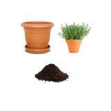 Gardenbox Aromatik Dağ Kekik Tohumu, 10 Adet Ekim Seti, Toprak ve Saksı Dahil